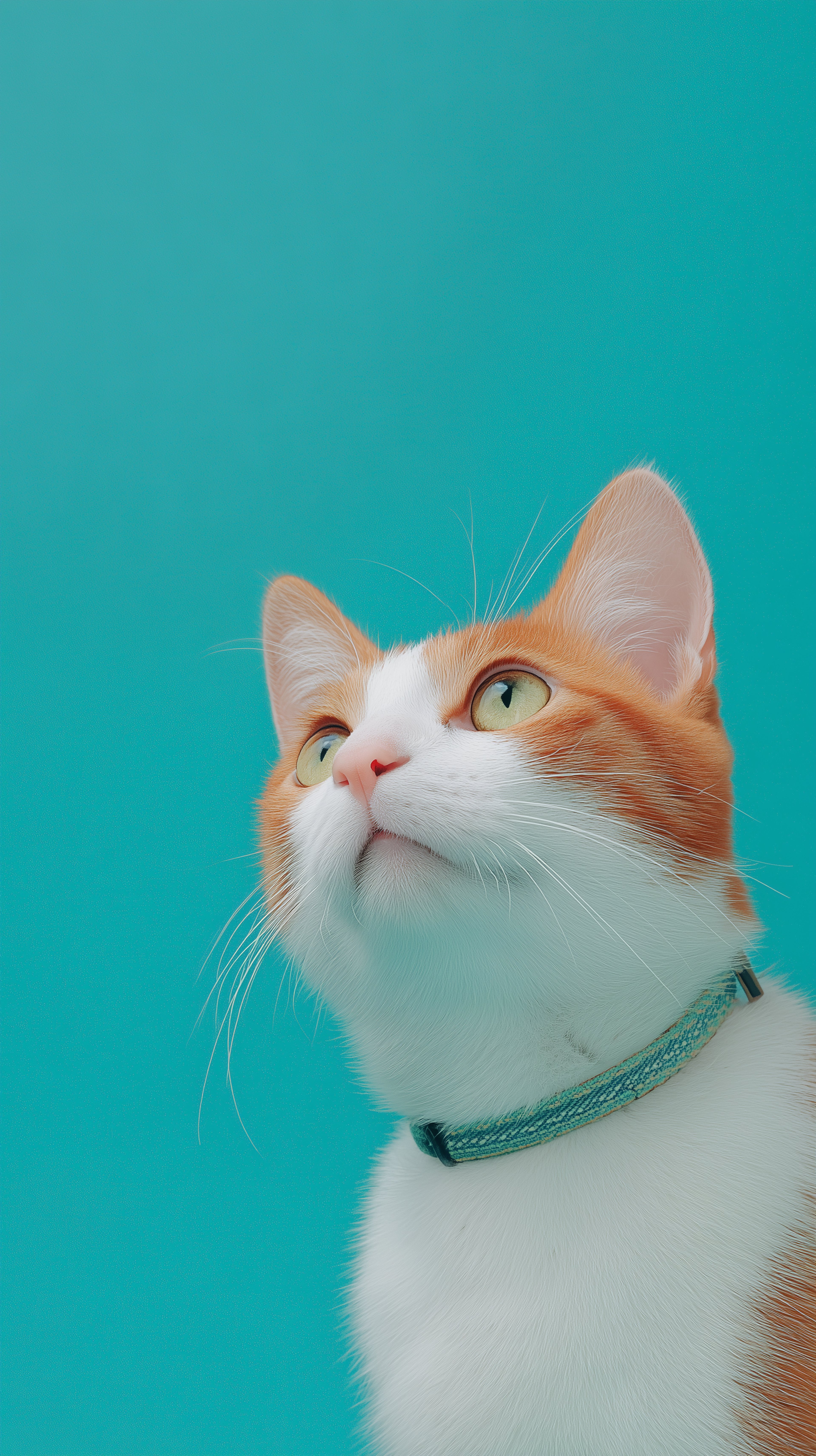 Prompt Cat PromptCAT-AI:Search Best AI Image Prompts & AI Video Prompts